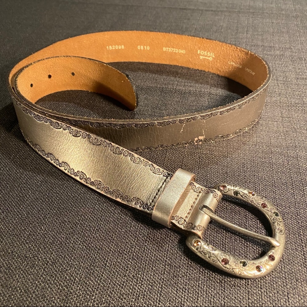 Fossil Belt - Picture 5 of 8